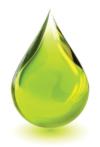 Benefits of Hemp Seed Oil