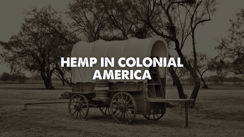 Hemp in Colonial America
