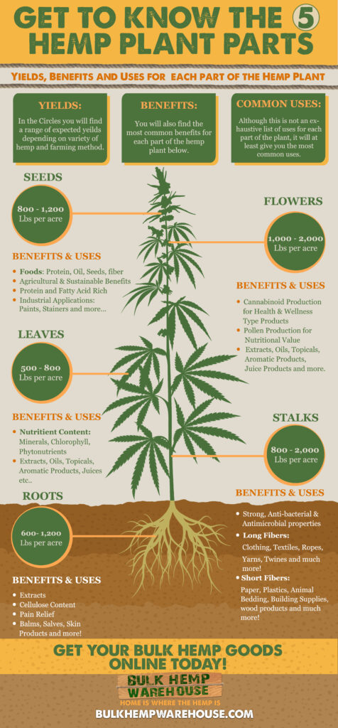 5 Awesome Hemp Infographics