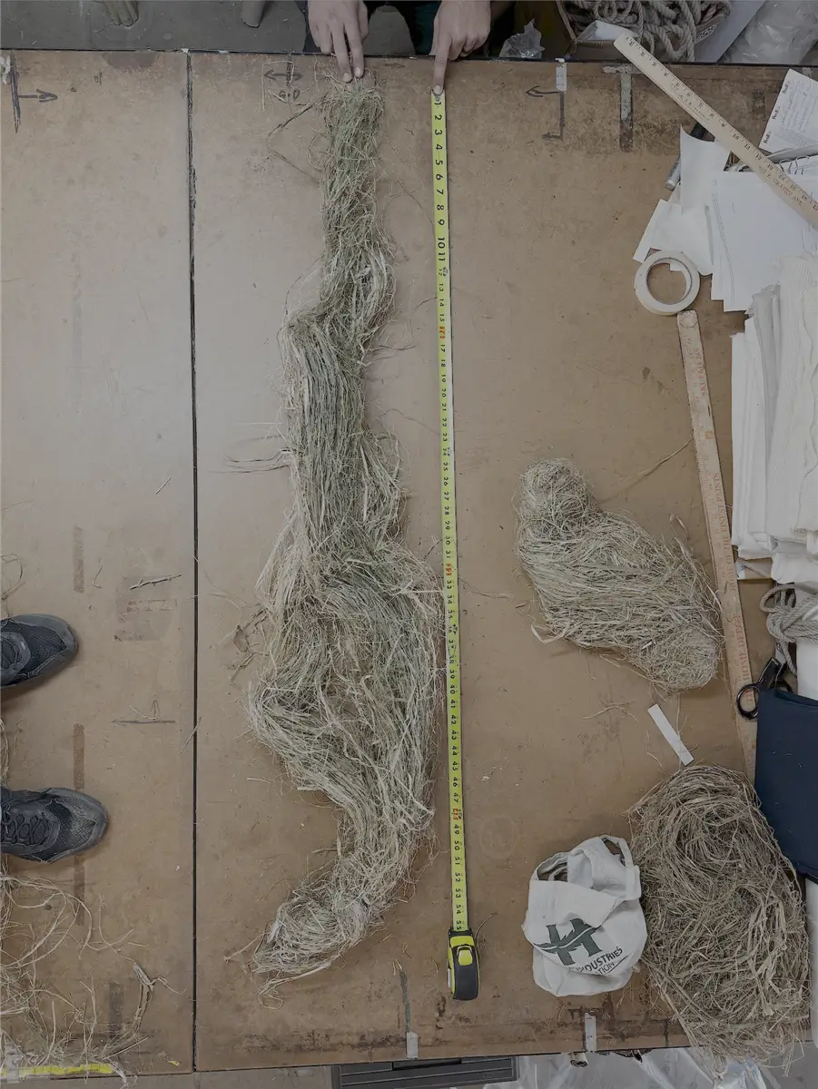 Green Decordicated Hemp Fiber Green Decordicated Hemp Fiber for sale