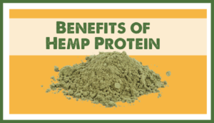 Benefits of Hemp Protein