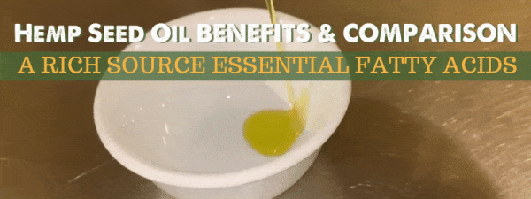 Hemp Seed Oil Benefits & Comparison
