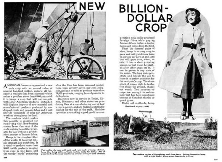 Hemp Billion Dollar Crop