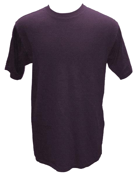 Purple Hemp T shirt – Blank