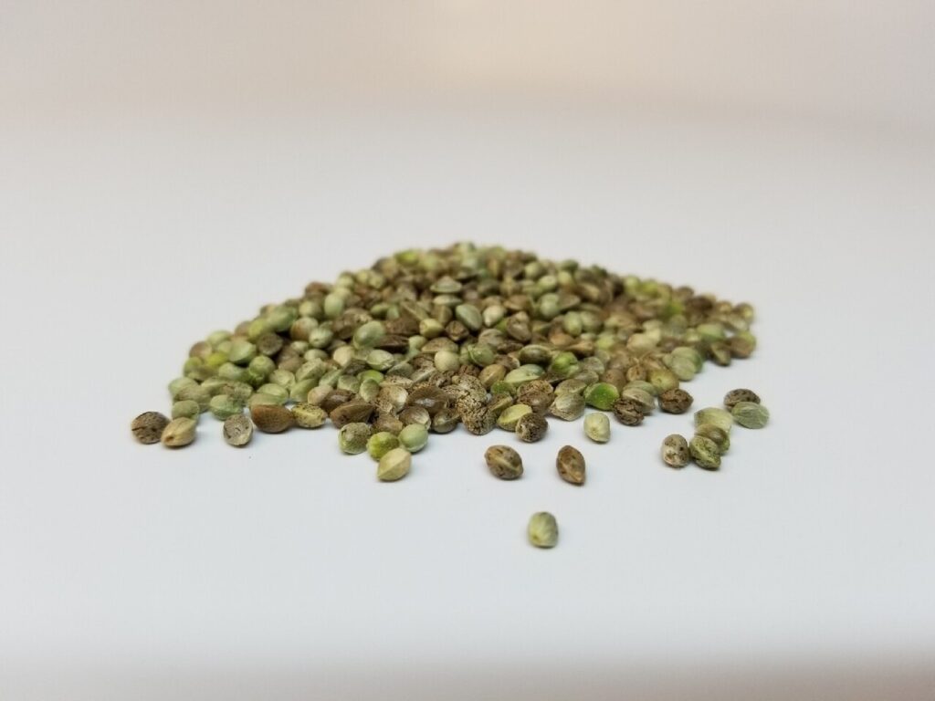 Organic Raw Whole Hemp Seeds (Hemp Grain) | 45lb | Bulk Hemp Warehouse