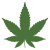 Hemp Leaf