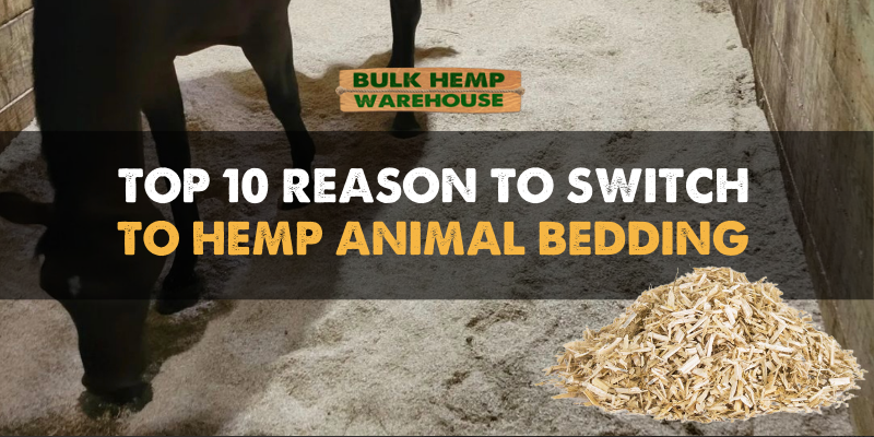 Top 10 Reasons to Switch to Hemp Animal Bedding