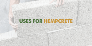 Hempcrete 101: A Powerful Guide To Sustainable Hemp Building
