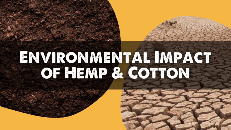 Environmental Impacts of Hemp vs Cotton