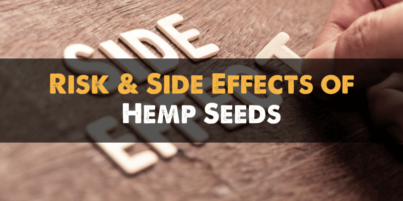 Hemp Seed Side Effects and Risks