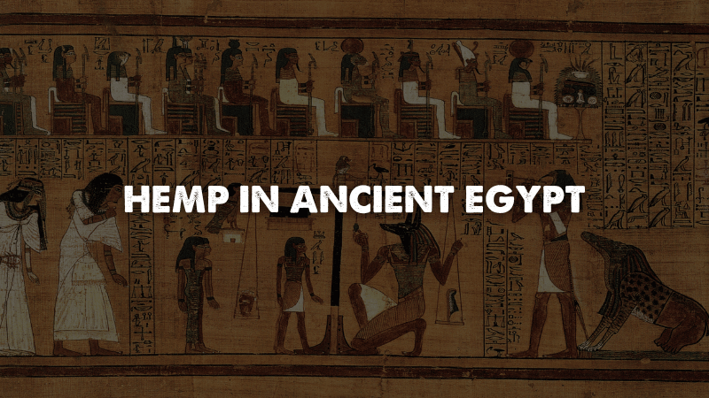 Hemp in Ancient Egypt