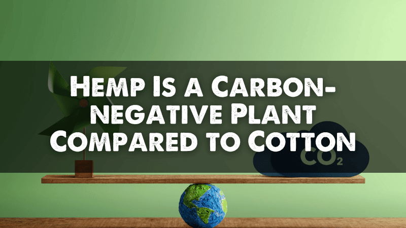 Hemp is Carbon Negative Compared to Cotton