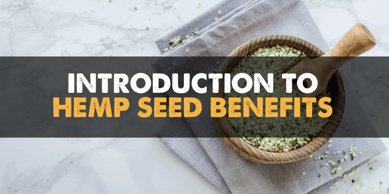 Introduction to Hemp Seed Benefits