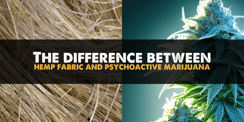 The Difference Between Hemp Fabric and Marijuana
