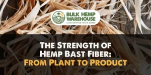 The Strength of Hemp Bast Fiber From Plant to Product