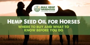 Hemp Seed Oil for Horses Where to Buy and What to know before you do