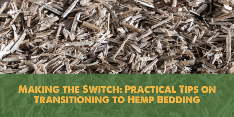 Making the Switch_ Practical Tips on Transitioning to Hemp Bedding