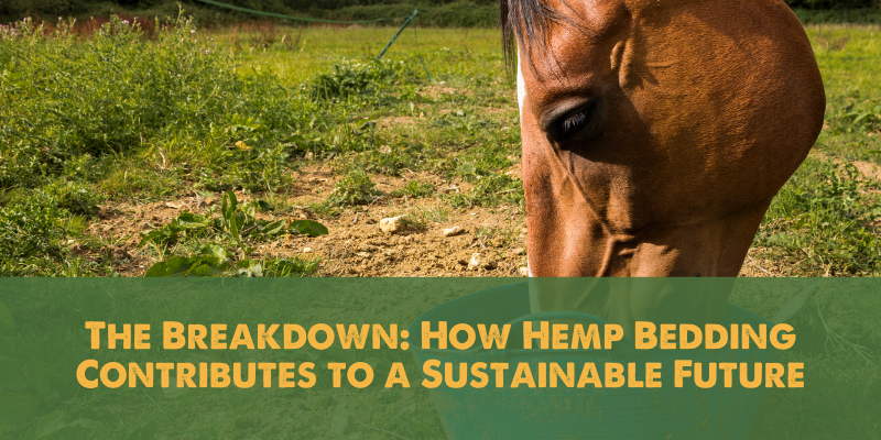 The Breakdown_ How Hemp Bedding Contributes to a Sustainable Future