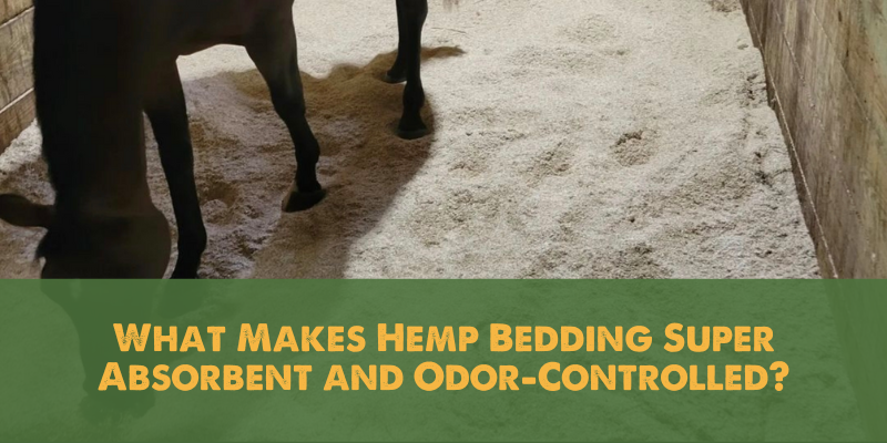 What Makes Hemp Bedding Super Absorbent and Odor-Controlled