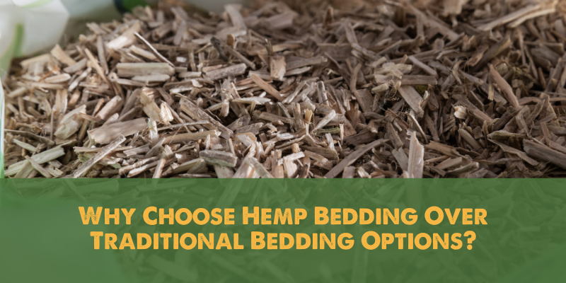 Why Choose Hemp Bedding Over Traditional Bedding Options