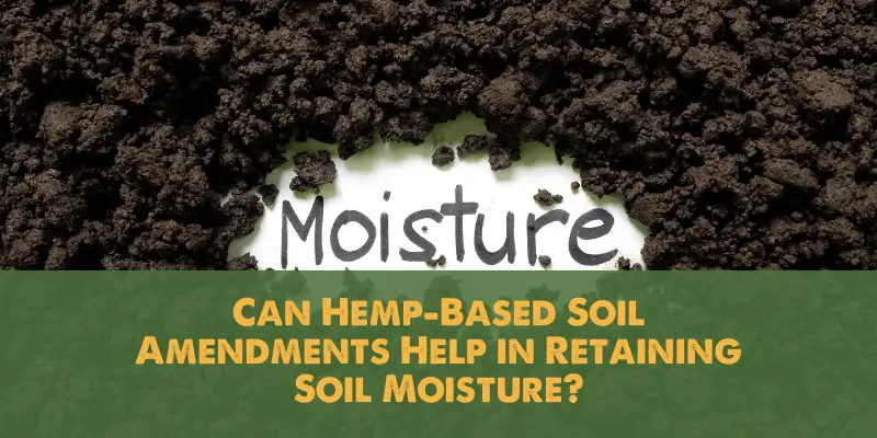 Can Hemp-Based Soil Amendments Help in Retaining Soil Moisture