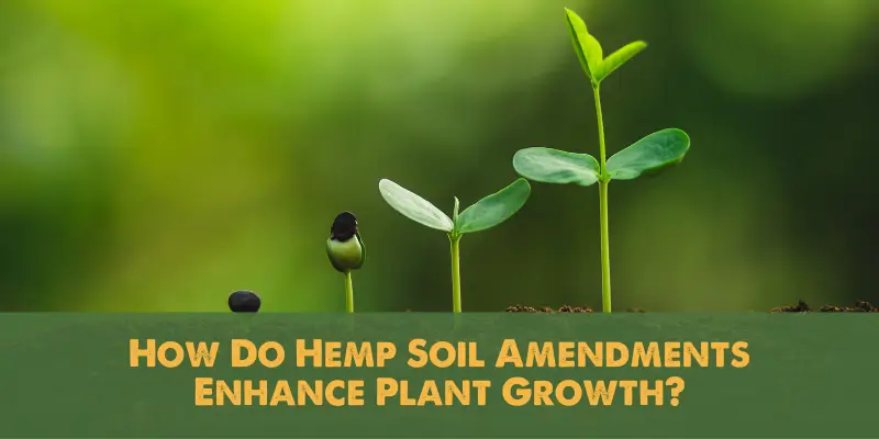 How Do Hemp Soil Amendments Enhance Plant Growth