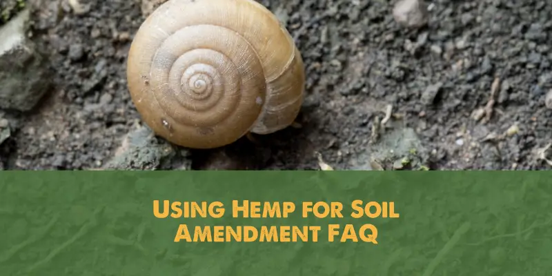 Using Hemp for Soil Amendment FAQ