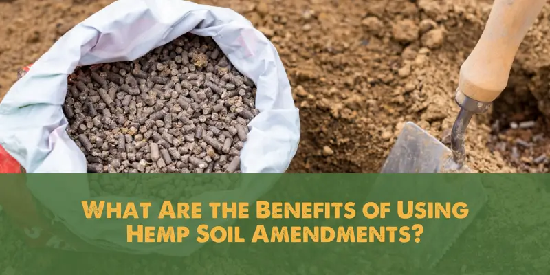 What Are the Benefits of Using Hemp Soil Amendments