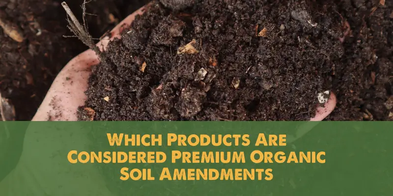 Which Products Are Considered Premium Organic Soil Amendments