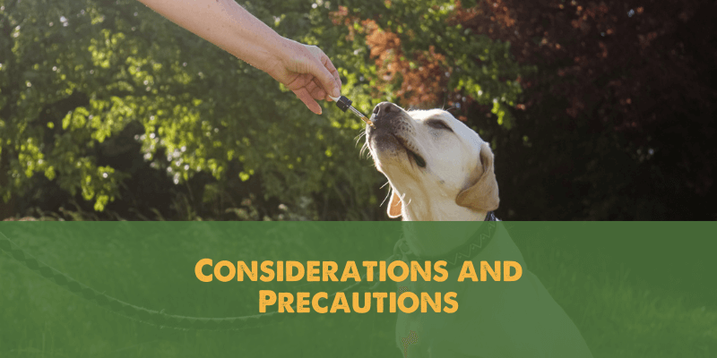 Considerations and Precautions 1