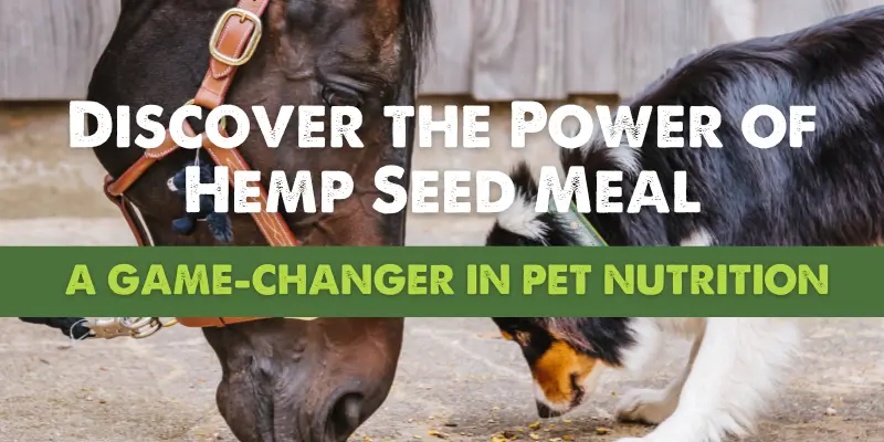 Discover the Power of Hemp Seed Meal - Pet Nutrition