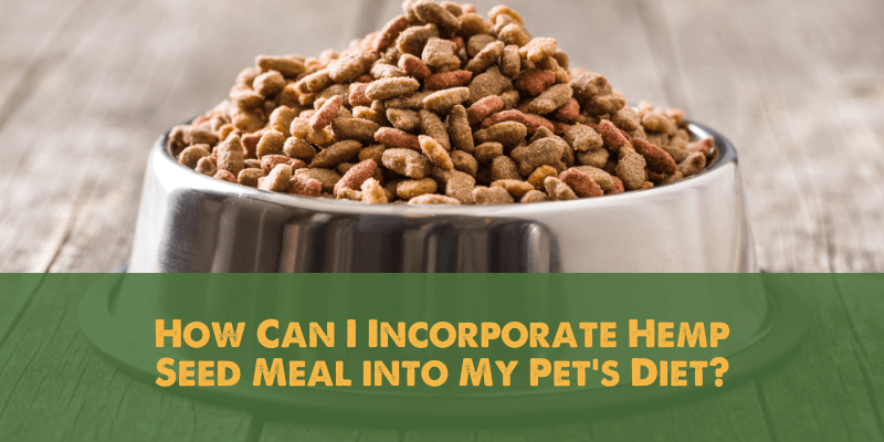 How Can I Incorporate Hemp Seed Meal into My Pet's Diet