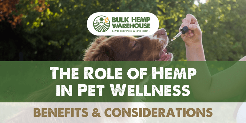 The Role of Hemp in Pet Wellness_ Benefits and Considerations