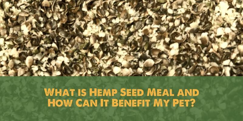 What is Hemp Seed Meal and How Can It Benefit My Pet