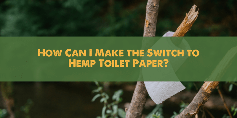 How Can I Make the Switch to Hemp Toilet Paper