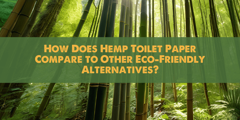 How Does Hemp Toilet Paper Compare to Other Eco-Friendly Alternatives