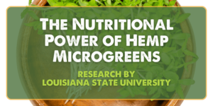 The Nutritional Power of Hemp Microgreens - reserach by louisiana state university