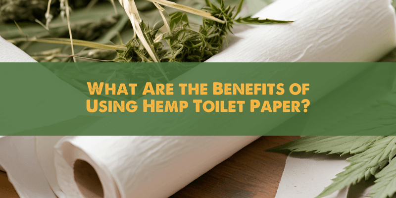 What Are the Benefits of Using Hemp Toilet Paper 1