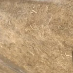 Bulk Hemp Bast Fiber