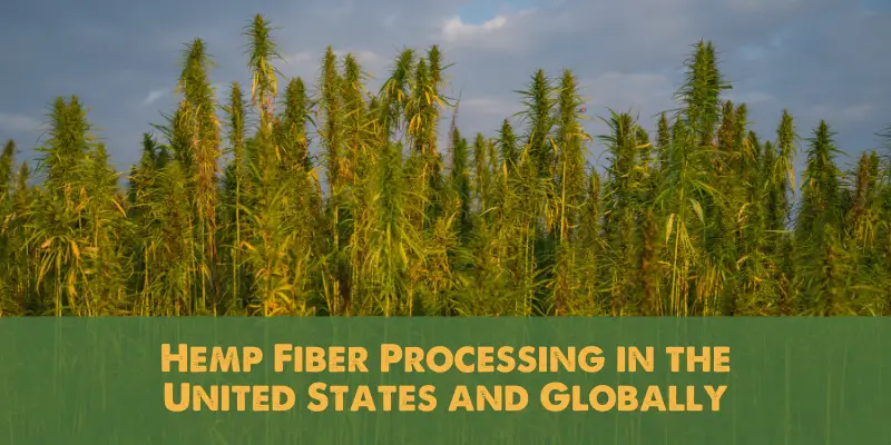 HEMP FIBER PROCESSING IN THE UNITED STATES AND GLOBALLY