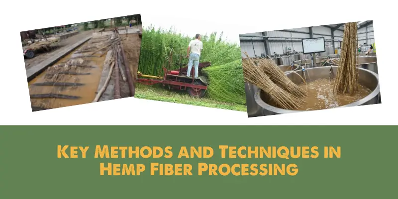 KEY METHODS AND TECHNIQUES IN HEMP FIBER PROCESSING