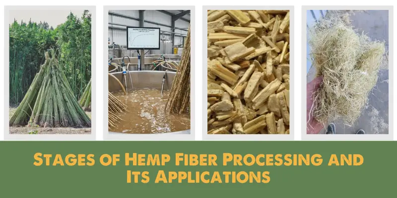 STAGES OF HEMP FIBER PROCESSING AND ITS APPLICATIONS