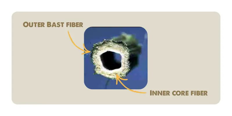 Inner core fiber vs outer bast fiber