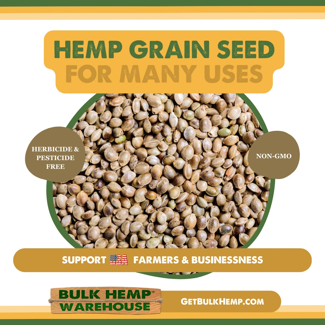 Raw Whole Hemp Bird Seed Close Up Close up of raw whole hemp bird seed, USA grown hemp grain for many uses