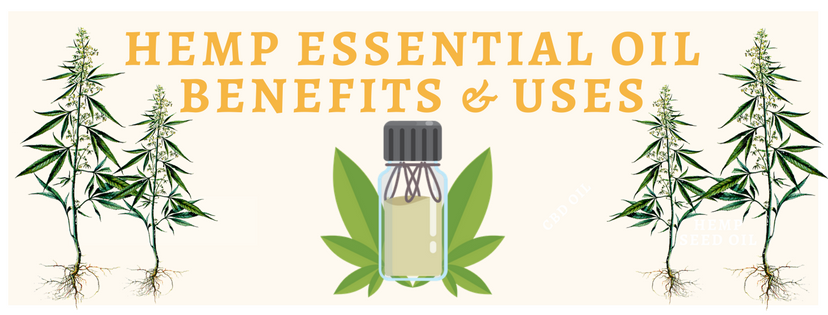 Hemp Essential Oil Benefits and uses