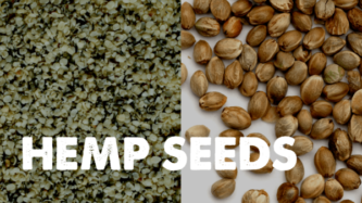 Bulk Hemp Seeds Wholesale